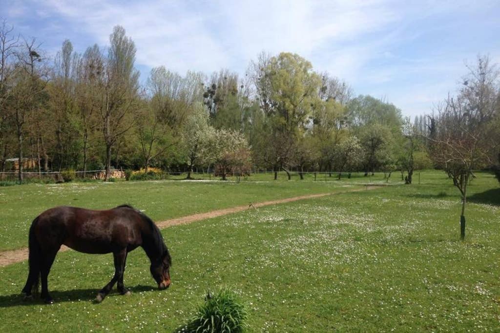 La Pierre Levee Apartment Montigny-sur-Loing Екстериор снимка