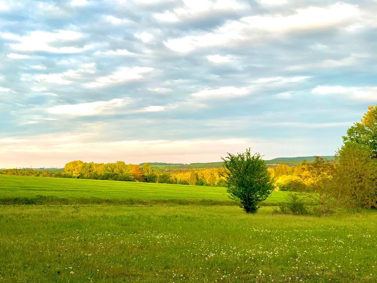 La Pierre Levee Apartment Montigny-sur-Loing Екстериор снимка